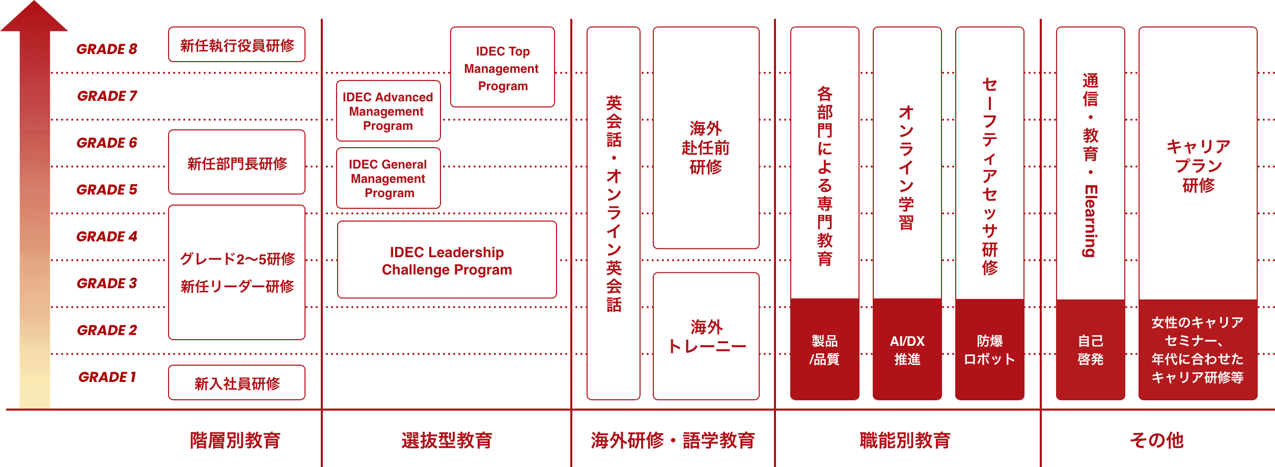 IDECの教育制度